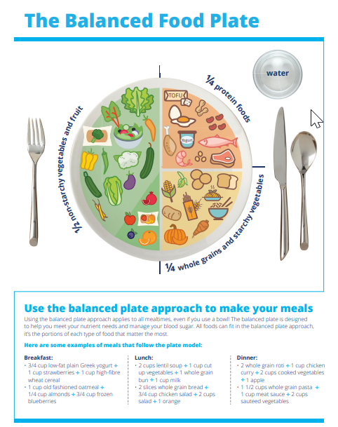 The Balanced Food Plate