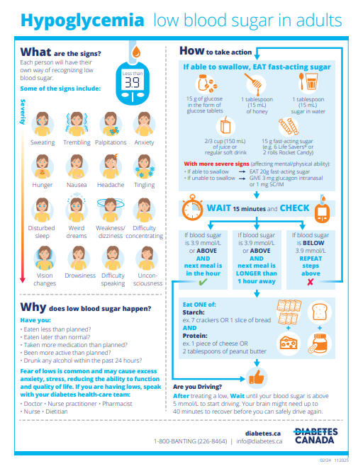 Hypoglycemia Low Blood Sugar in Adults