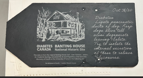 Banting House Roof Tile